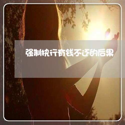 强制执行有钱不还的后果/2023110727159