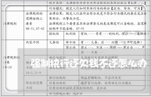 强制执行还欠钱不还怎么办/2023120907461