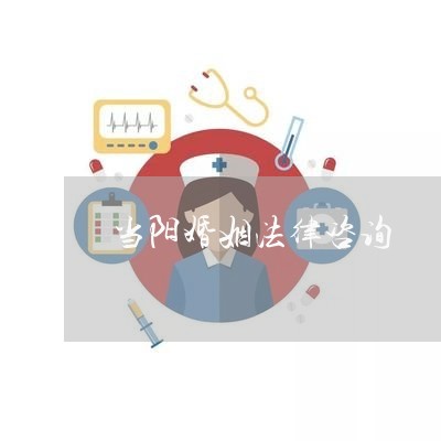 当阳婚姻法律咨询/2023112407380