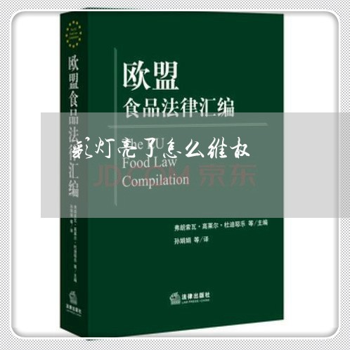 彩灯亮了怎么维权/2023043005260