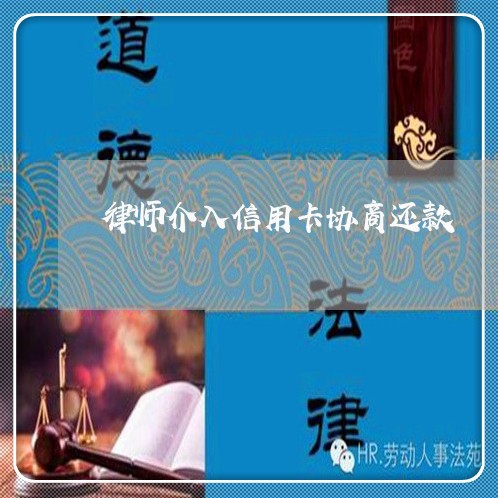 律师介入信用卡协商还款/2023112383615