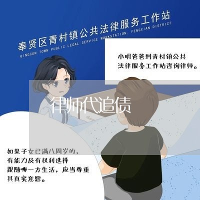 律师代追债/2023100564724