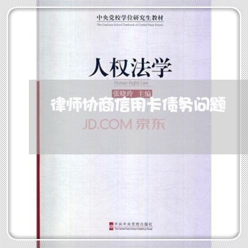 律师协商信用卡债务问题/2023112373706