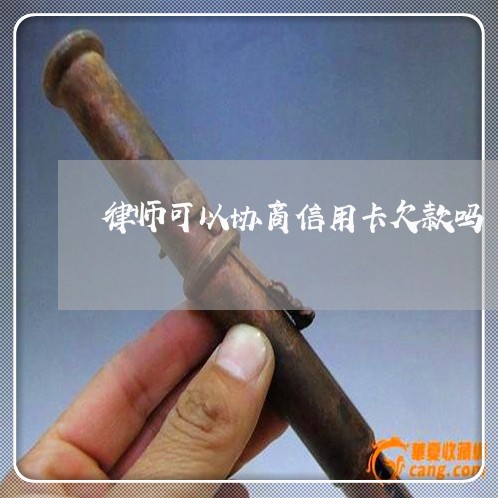 律师可以协商信用卡欠款吗/2023093096259