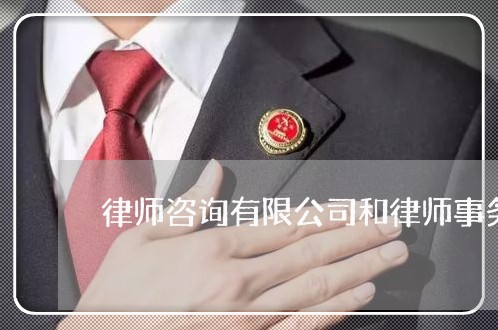 律师咨询有限公司和律师事务所/2023031747381