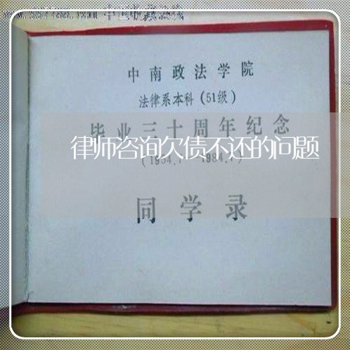 律师咨询欠债不还的问题/2023111818272