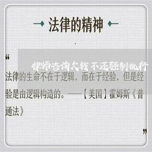 律师咨询欠钱不还强制执行/2023112397140