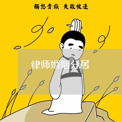 律师婚姻分居/2023112661582