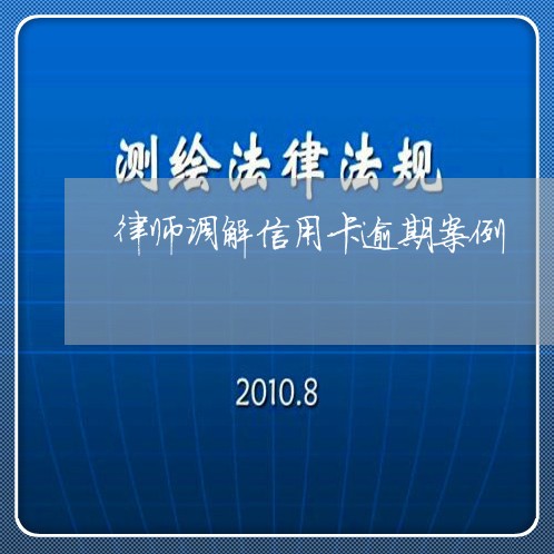 律师调解信用卡逾期案例/2023072297158