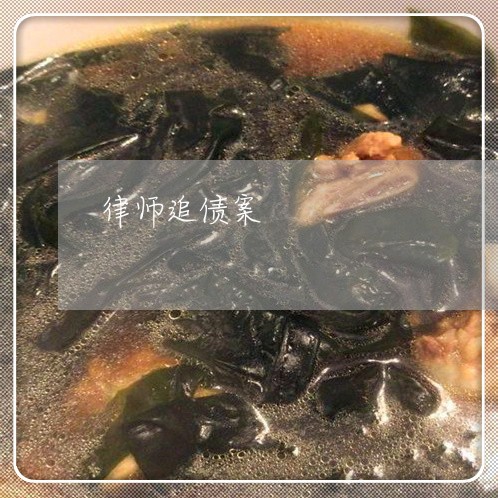 律师追债案/2023121792616