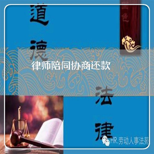 律师陪同协商还款/2023091794726