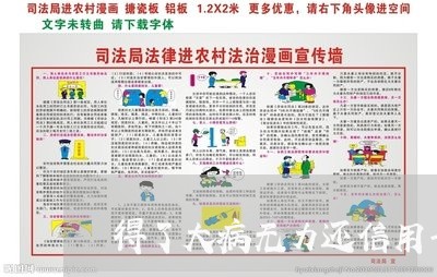 得了大病无力还信用卡/2023082684937