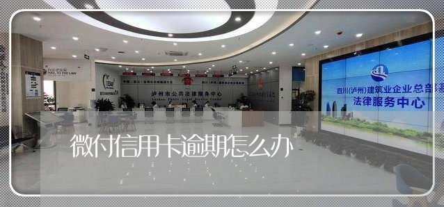 微付信用卡逾期怎么办/2023121874704