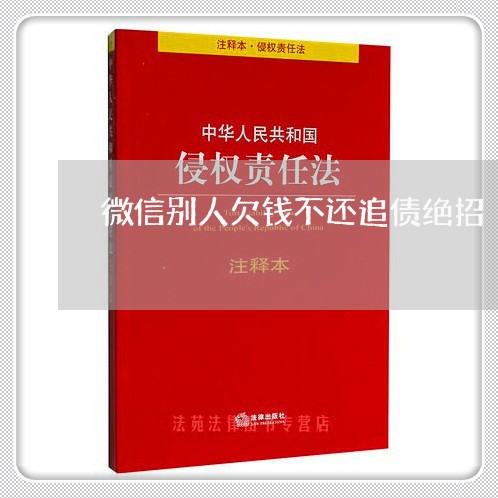 微信别人欠钱不还追债绝招/2023110120472