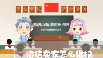 微信卖家怎么维权/2023060347141