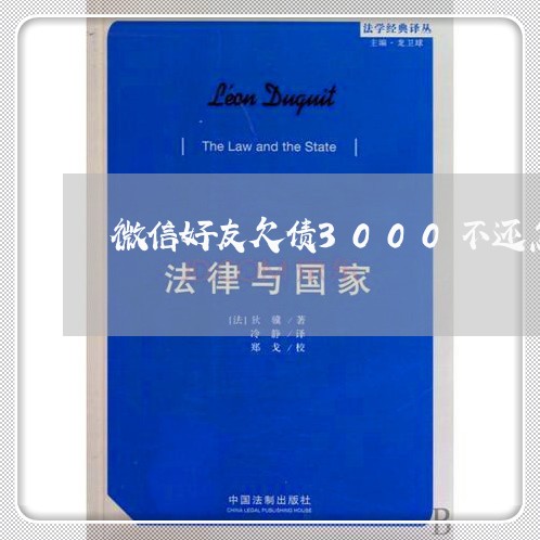 微信好友欠债3000不还怎么办/2023120815849