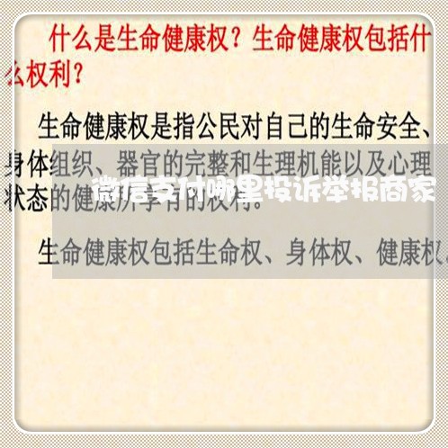 微信支付哪里投诉举报商家/2023022537461