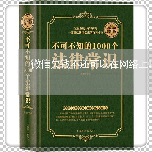 微信欠钱不还可以在网络上曝光吗/2023110971693