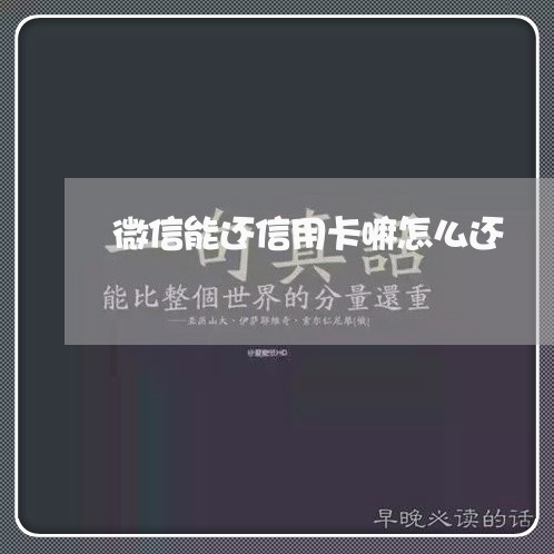 微信能还信用卡嘛怎么还/2023120499380