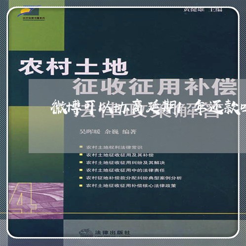 微博可以协商延期1年还款吗/2023100705949