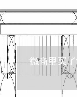 微商里买了假货怎么维权/2023062473270