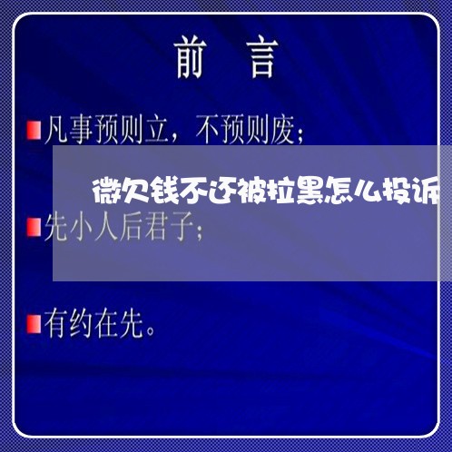 微欠钱不还被拉黑怎么投诉/2023120899684