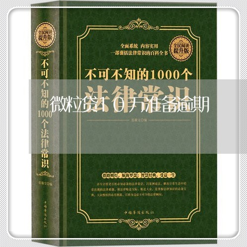 微粒贷10万准备逾期/2023081539172