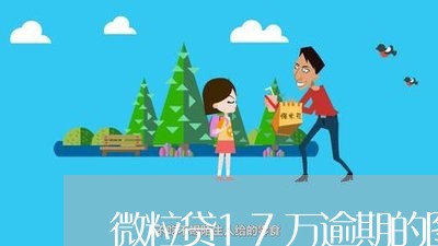 微粒贷17万逾期的图片/2023081616047