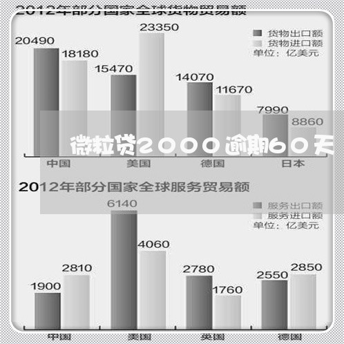 微粒贷2000逾期60天/2023081543725