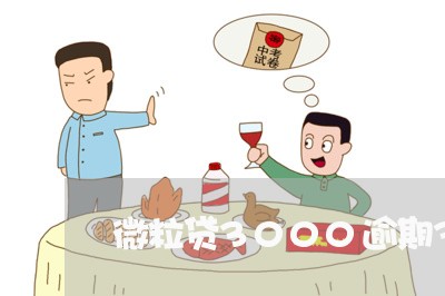 微粒贷3000逾期3年/2023081562582