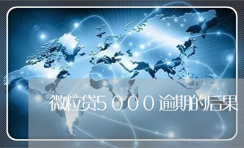 微粒贷5000逾期的后果/2023052654830