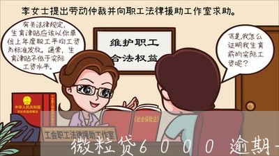 微粒贷6000逾期一年/2023072424059