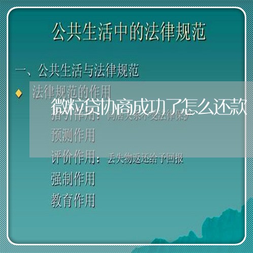 微粒贷协商成功了怎么还款/2023092540705