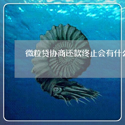 微粒贷协商还款终止会有什么后果/2023100618079