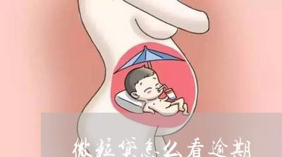 微粒贷怎么看逾期/2023081524248