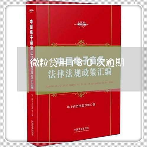 微粒贷用了80次逾期/2023072442826