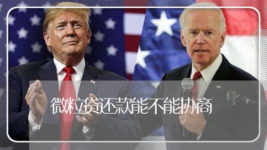 微粒贷还款能不能协商/2023092596825