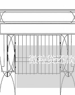 微粒贷还款逾期案例/2023081519268