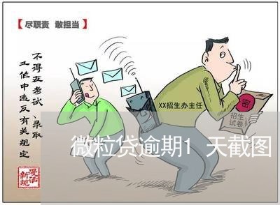 微粒贷逾期1天截图/2023060862583