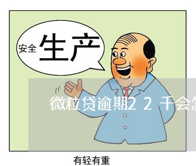 微粒贷逾期22千会怎样/2023081671894