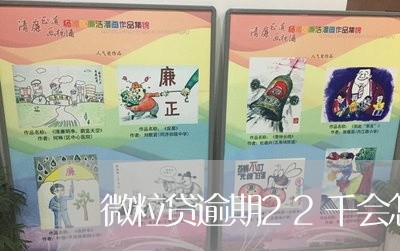 微粒贷逾期22千会怎样/2023081672502