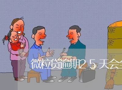 微粒贷逾期25天会全款吗/2023072506481