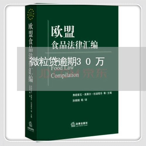 微粒贷逾期30万/2023062831695