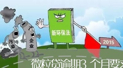 微粒贷逾期3个月要求全款/2023072383957