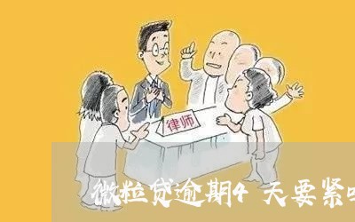 微粒贷逾期4天要紧吗/2023081663816