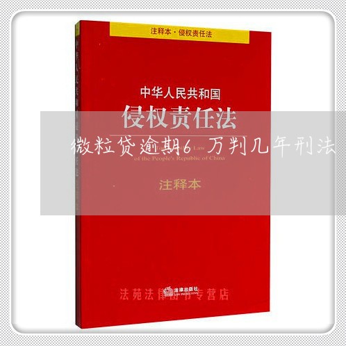 微粒贷逾期6万判几年刑法/2023081598260