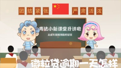 微粒贷逾期一天怎样/2023081586058