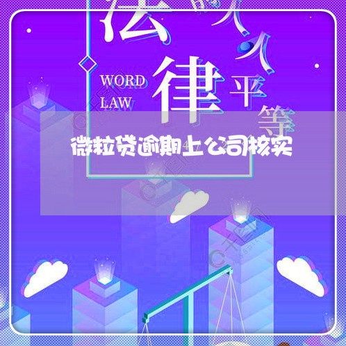 微粒贷逾期上公司核实/2023081514817