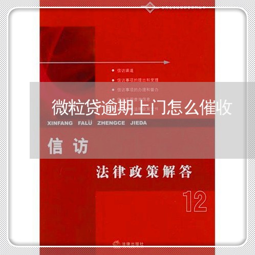 微粒贷逾期上门怎么催收/2023062316059