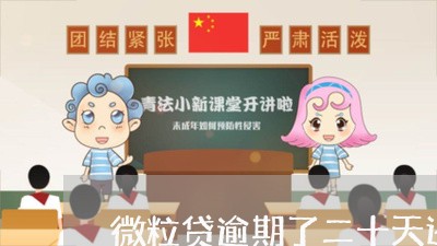 微粒贷逾期了二十天还了还能用吗/2023091530469